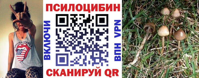 купить Белоярский МЕГА зеркало Псилоцибиновые грибы Psilocybine cubensis